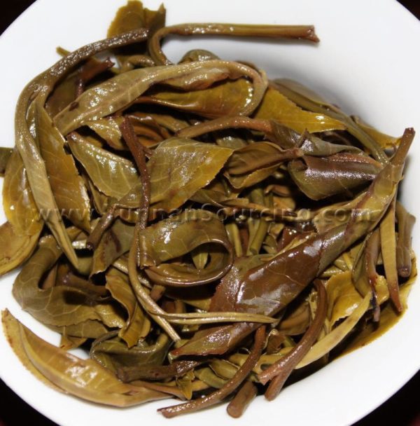 2010 Yunnan Sourcing Yi Bang Ancient Arbor Pu-erh Tea Cake