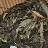 2010 Yunnan Sourcing Jing Gu Yang Ta Raw Pu-erh Tea Cake