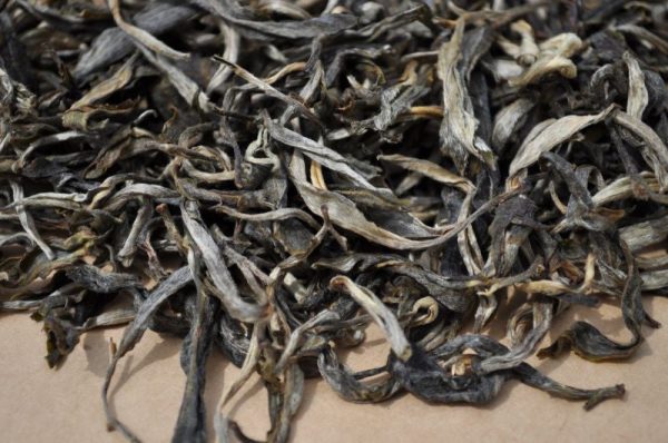 2010 Yunnan Sourcing Jing Gu Yang Ta Raw Pu-erh Tea Cake