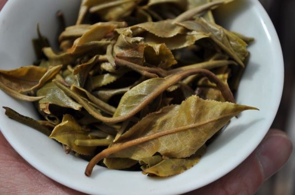 2010 Yunnan Sourcing Jing Gu Yang Ta Raw Pu-erh Tea Cake