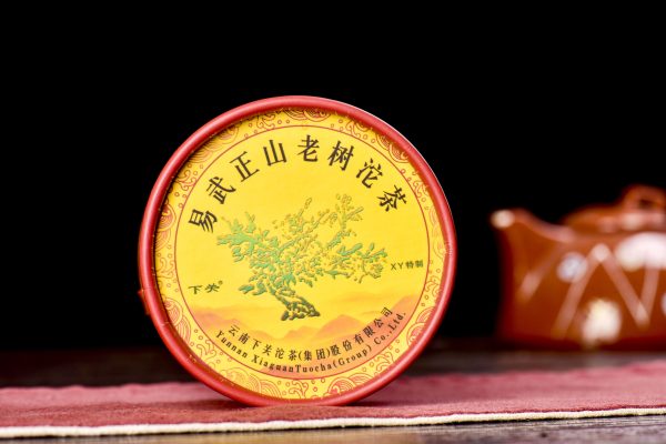 2010 Xiaguan XY Yi Wu Big Green Tree Raw Pu-erh Tea Tuo