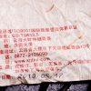 2010 Xiaguan XY Yi Wu Big Green Tree Raw Pu-erh Tea Tuo