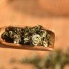 Certified Organic Fancy Grade Bi Luo Chun Yunnan Green Tea