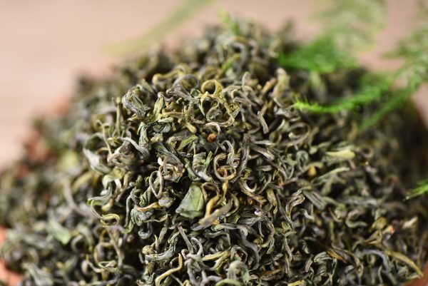 First Flush Competition Grade Laoshan Green Tea