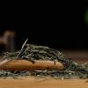 Certified Organic Yunnan Silver Strands Green Tea