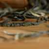 Certified Organic Yunnan Silver Strands Green Tea