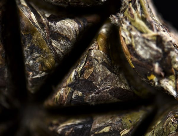 Bai Mu Dan Waffle Cake Fuding White Tea