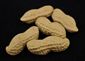 Yixing Clay Faux Peanuts Tea Mascot bric-a-brac * 5 pieces per set