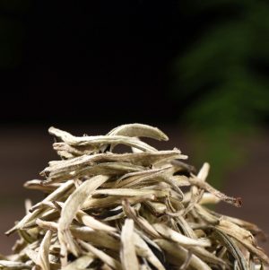 Jing Gu White Pekoe Silver Needles White Tea